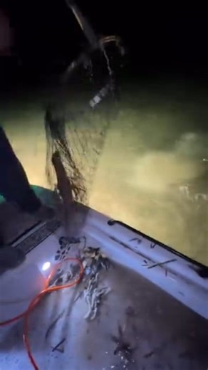 Buggin out 勞酪 #lobster #viral #sick #slick #ocean #night #fyp #reels #florida #viral #usa | Som Chin | Facebook