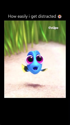 Finding Dory fun fact: Pixar waited 13 years to make Finding Dory because they wanted the story to truly reflect Dory’s memory loss in a meaningful and respectful way 🐠💙