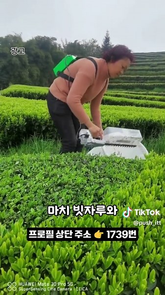 📌1739번 구매 : 제초 빗자루 트리머 / 상세 정보는 프로필 링크를 확인하세요 #트리머 #헤지트리머 #예초기 #제초기 #꿀템 #쿠팡추천템 #꿀템추천