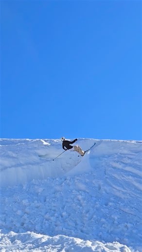 Drew | phone blips from donner party link in bio | Instagram