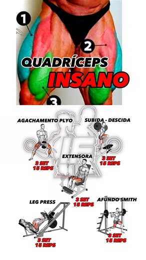 Treino Insano de Quadríceps: Hipertrófia Muscular