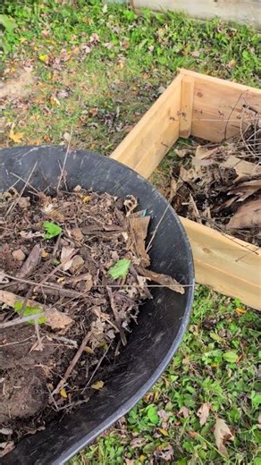 Beginner's compost #composting #learning