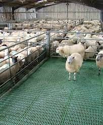 [Hot Item] Farm Equipment Dung Leakage Goat Sheep Plastic Slats Floor