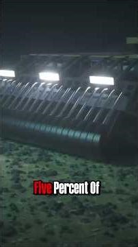 Why Scientists Are Warning About Ocean Mining ⚠️ #deepsea #marinelife #science