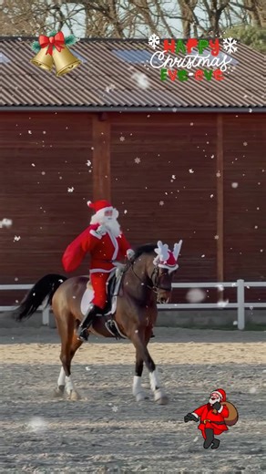 Dominic-Nathanael Erhart on Instagram: "Ich wünsche euch allen weltweit, eine fröhliche Weihnacht! Euer Dominic-Nathanael Erhart und sein Team. P.S. Hier wird der 10 - jährige Wallach Fuzzy von Fahrenheit x Argentinus ohne Gerte und Sporen, einhändig vom Weihnachtsmann geritten! Was gäbe ich darum so „reiten zu können“ … 😉 - Ich möchte mich hiermit bei meinem Partner: @busse_reitsport für die tolle Zusammenarbeit in dem Jahr 2025 bedanken! 🧑‍🎄🎁🎄#bussereitsport #turnierschabracken #pferdeaus