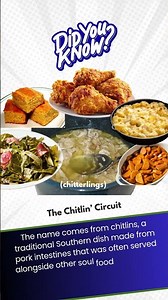 What Was the Chitlin’ Circuit? 🎶🚌 | Musical Minute | Green Bean's Music