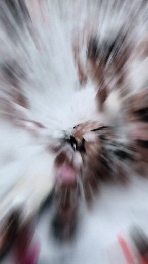 СПА ХОТЕЛ ЕЛБРУС, ВЕЛИНГРАД- ПЯНА ПАРТИ 🎊 #summer #party #foam #fy #foryoupage #trending #viral #tiktok #foryou