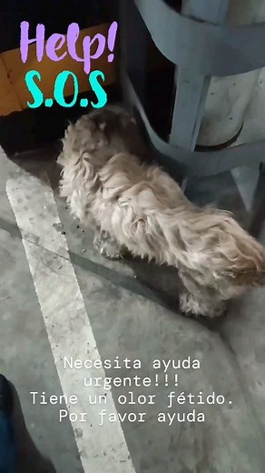 45 reactions · 13 comments | Caso externo! Este bebé aún sigue en...