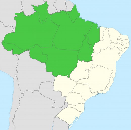 Amazônia Legal: o que é, objetivos, dados, mapa - Brasil Escola
