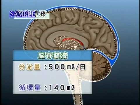 目で見る解剖と生理 第2版 Vol.1 神経系１ 中枢神経、高次機能、運動系