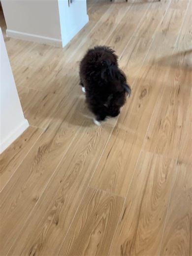 Learn French with French Today on Reels