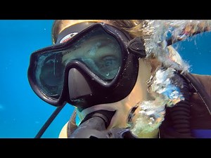 @trinamason 4K Scuba Diving underwater Molasses Reef Key Largo Florida dive August 10 2024 3:38pm