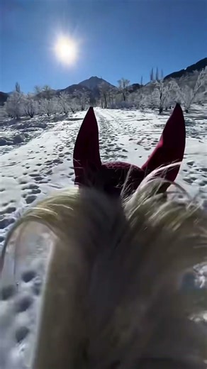 Runy - Święta Słowiańskie #runy #music #słowianie #lechici #muzyka #darkfolk