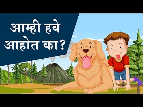 Class 8 | Aamhi have aahot ka? | आम्ही हवे आहोत का ? | Marathi | Maharashtra Board Home Revise