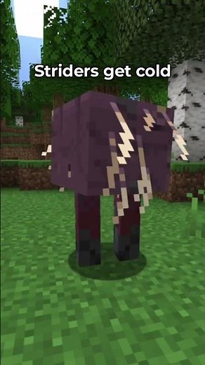 MOST HELPFUL STRIDER TIP