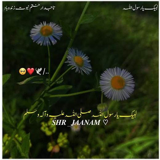 ʀᴇᴘᴏsᴛ ʀᴇǫᴜᴇsᴛ🤎🥹✨ . . . . . . . . . . . . . . . . . . . . . . . . . . . . . . . . #pleasetiktokviralmyvideo🙏 #pleasetiktokviralmy #ramzankareem . . . . . . . . . . . . #unfreezemyacount #beyan . . . . . . . . . . Program . . . . . . . . . . . . . . . . . . . . Request to Tiktok Community Please don't remove this content د Ten Unknown Facts About .Ten Unknown Facts About Unknown Facts About 213.9K ... 6,229 1. Founding and History: BMW, Bayerische Motoren Werke AG, was founded in 1916 in Munic