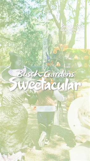 Fall Savings Sale: Tickets as low as $69.99! Hurry, Offer Ends Sunday! | Busch Gardens Tampa Bay