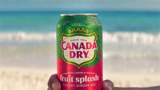 Canada Dry Fruit Splash TV Spot, 'Comfort Is in Our Nature: Lizard'