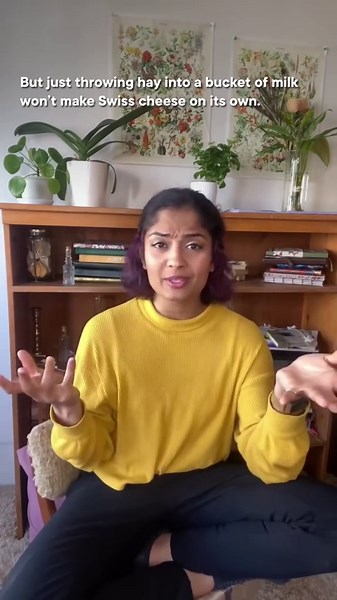 Why does Swiss cheese have holes? #shorts #science #SciShow