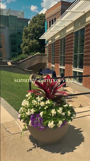 Summer Campus Vibes | Simmons University