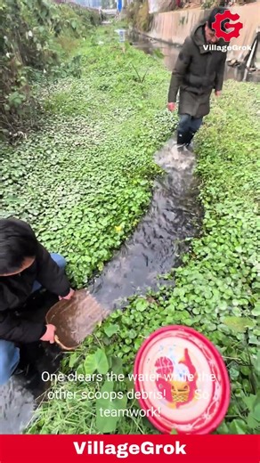 Cleaning a Clogged Stream: Removing Debris and Restoring Flow