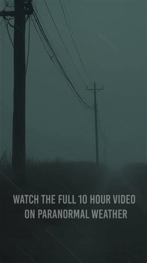 The Endless Line | 10 Hours of Rain, Distant Wires & Isolated Night Ambience