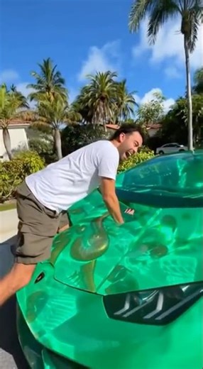 The Surprising Truth About Lamborghini Emerald Jelly Nobody Tells You #satisfying #jellycar