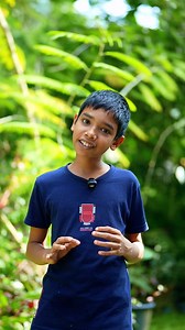 32K views · 1.4K reactions | ගොල්ඩ් ෆිෂ් ල එක්ක දාන්න Tank mates ල නැද්ද? | Asian Fish Export | Facebook