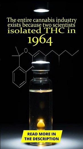 Before 1964, no one knew what made cannabis psychoactive — here’s how they figured it out