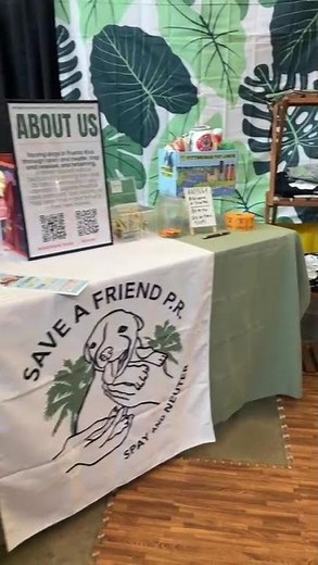 Video of adoptable pet named Katy (Foster in PA)