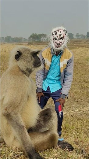 Langur Comes Very Close After Seeing Biscuit 😲🐒
