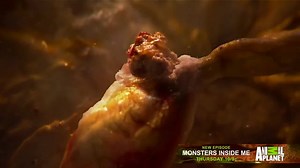 99 reactions · 24 shares | Monsters Inside Me returns Thursday with...