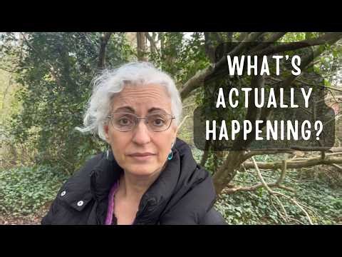 Reality vs the Mind’s Story