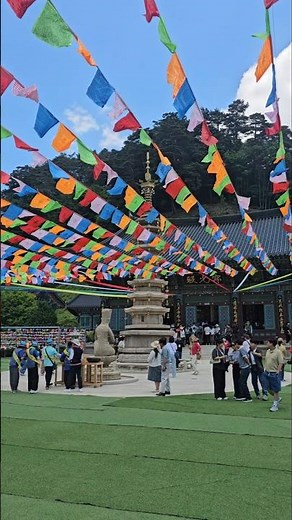 오대산 월정사, 전나무길 산책 A stroll thru Woljeongsa Temple on Mount Odae and along the Cedar Tree Path
