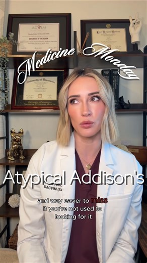 Nicole Fein, DVM, DACVIM on Instagram: "In Part 2 of this series, we’re breaking down atypical Addison’s disease, including why it’s trickier to diagnose, the lab patterns that should raise suspicion, and how management differs from typical Addison’s. Have questions about Addison’s? Drop them below. What topics do you want to see covered next on Medicine Mondays? #internalmedicine #veterinaryspecialists #atypicaladdisonsdisease #medicinemonday #thefeinvet"