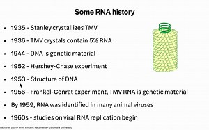 6 - RNA Directed RNA Synthesis Virology Lectures 2021 Vincent Racaniello (notes)