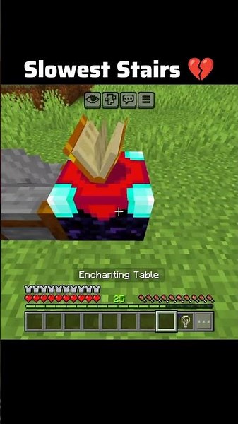 Minecraft Slowest Stairs moment