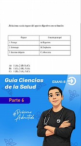 Digestión y Absorción en Ciencias de la Salud