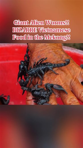 Giant Alien Worms!! BIZARRE Vietnamese Food in the Mekong!! #food #foods #foodtiktok #foodreview