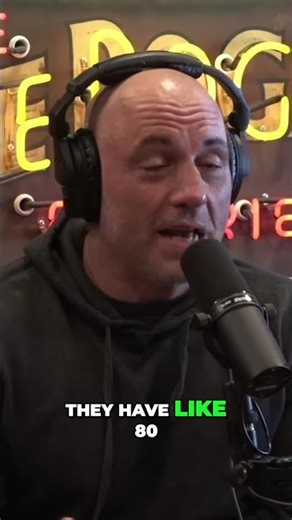 Joe Rogan on Bees: What Do They Know About Death? #shorts