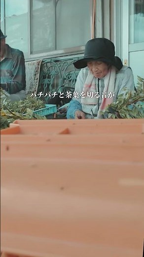 ハブ茶の作る様子です☺