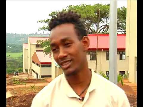 Dambi Dollo University