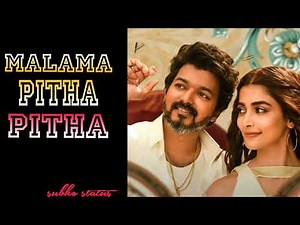 Malama Pitha Pitha (Official video) | Arabic Kuthu | Halamithi Habibo | Beast Song | subho status
