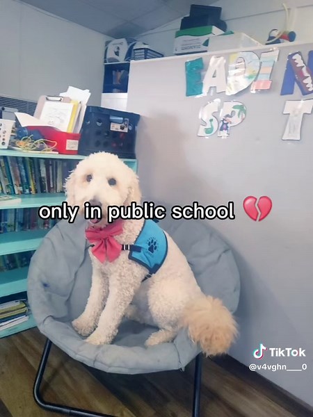 I hate this school . . . . . . . . #Viral #LanguageLearning #Foryoupage #Blowthisup #Trend