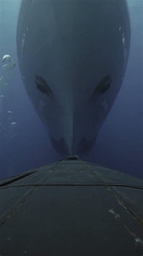 Ship Bulbous Bow Underwater Collision Simulation #maritime #simulation