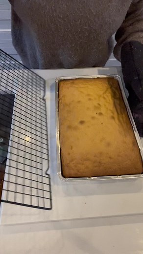 This was meh. #candycrush10 #cake #cakepeel #baking #baker #satifying #satifying #traybake #asmr