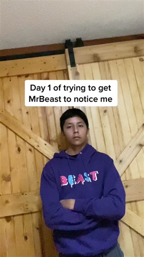 The Ultimate MrBeast Challenge Compilation