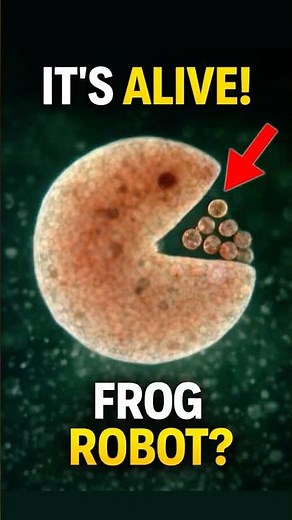 These Robots Are... ALIVE? 🐸🤖