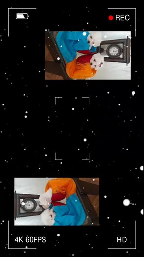 Javite se cekamo vas da se druzimo!!!!🍀♥️💙🍀 | Natasa Matic