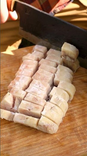 Easy Fish Soup in the Forest